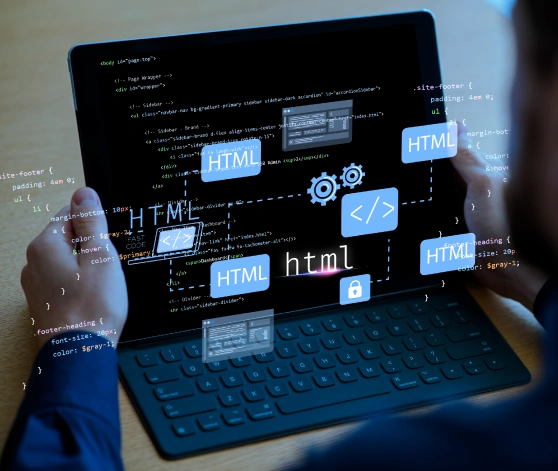 WordPress Development